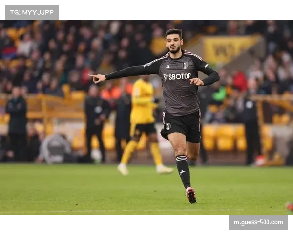 富勒姆6323万镑年薪支出排第12位 显示薪资与成绩非正比